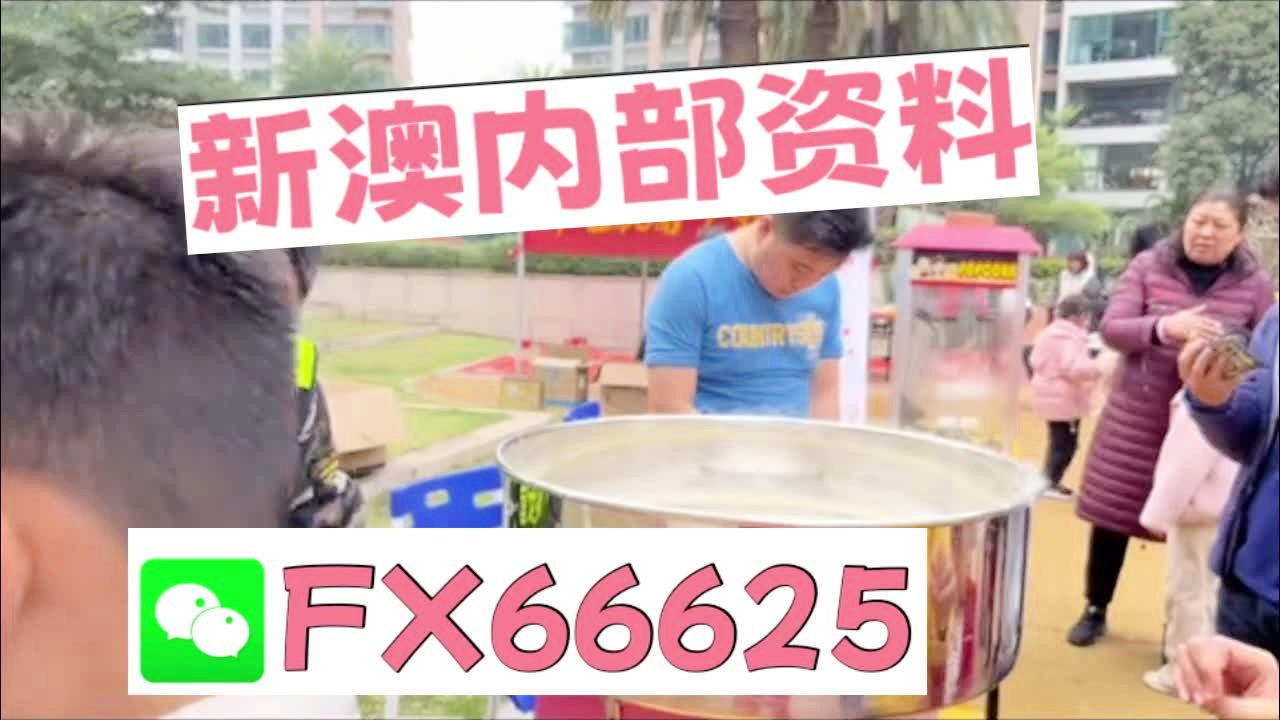 新奧2025資料大全最新版本，全面解析與深度洞察，新奧2025資料大全最新版，全面解析與深度洞察報告