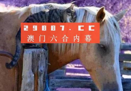 澳門一肖一碼一待一中四不像，探索與解析，澳門一肖一碼一待一中四不像，深度解析與探索