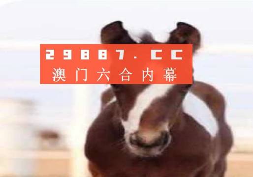 澳門一肖一碼狀元紅，揭秘彩票背后的秘密與策略，澳門彩票揭秘，狀元紅背后的秘密與策略解析