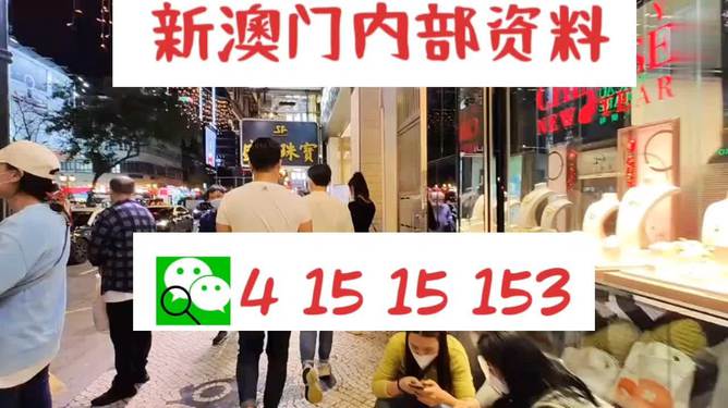 探索未來，2025新澳最新版精準(zhǔn)特色解析，探索未來，揭秘新澳最新版精準(zhǔn)特色解析（2025版）