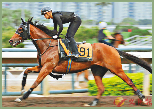香港賽馬，探索數(shù)字背后的激情與榮耀，香港賽馬，數(shù)字背后的激情與榮耀之旅