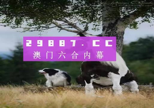 澳門天天空彩官網資料，探索彩票世界的門戶，澳門天天空彩官網資料，彩票世界探索門戶