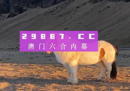 澳門天天彩資料正版免費(fèi)特色快8，探索彩票世界的魅力與機(jī)遇，澳門天天彩正版特色快8，彩票世界的魅力與機(jī)遇探索