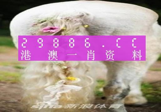 澳門(mén)羊了個(gè)羊與各大圖庫(kù)的資料揭秘，2023年澳門(mén)今晚必中一肖一碼永久免費(fèi)資料庫(kù)大解密，澳門(mén)羊了個(gè)羊與資料庫(kù)揭秘，2023年必中一肖一碼永久免費(fèi)資料大解密