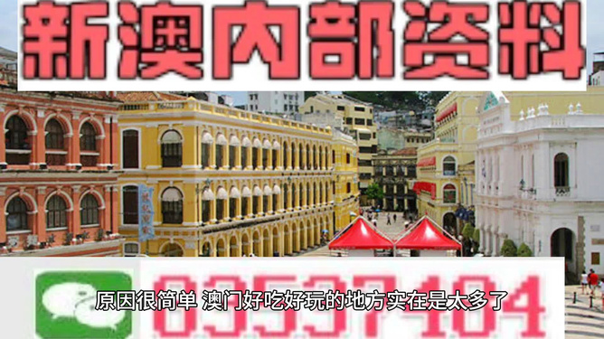 澳門精準(zhǔn)資料大全免費(fèi)，探索與解析，澳門精準(zhǔn)資料大全免費(fèi)解析探索