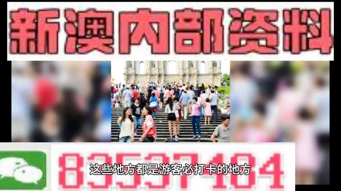 新澳天天開(kāi)獎(jiǎng)資料大全旅游團(tuán)——探索澳門(mén)的魅力之旅，澳門(mén)魅力探索之旅，新澳天天開(kāi)獎(jiǎng)資料大全旅游團(tuán)