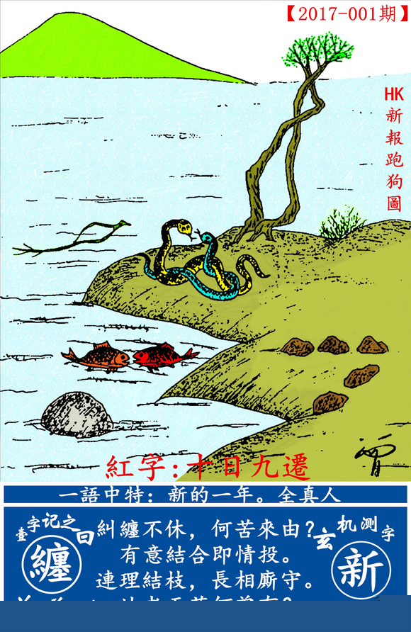 探索全新版跑狗圖，7777788888的魅力與策略，探索全新版跑狗圖，7777788888的魅力與攻略解析