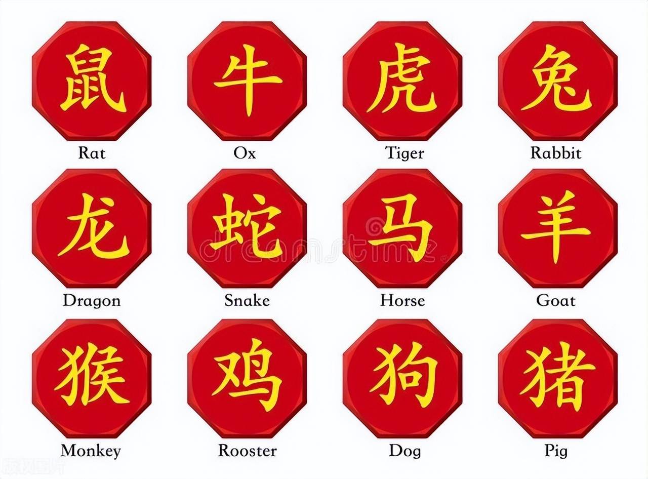 新澳特碼，羊牛虎各數(shù)10——揭秘背后的數(shù)字奧秘，揭秘新澳特碼數(shù)字奧秘，羊?；⒏鲾?shù)背后的秘密