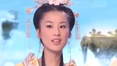 曾道道人資料免費(fèi)大全，深度探索與解析，曾道道人資料深度解析與免費(fèi)大全探索