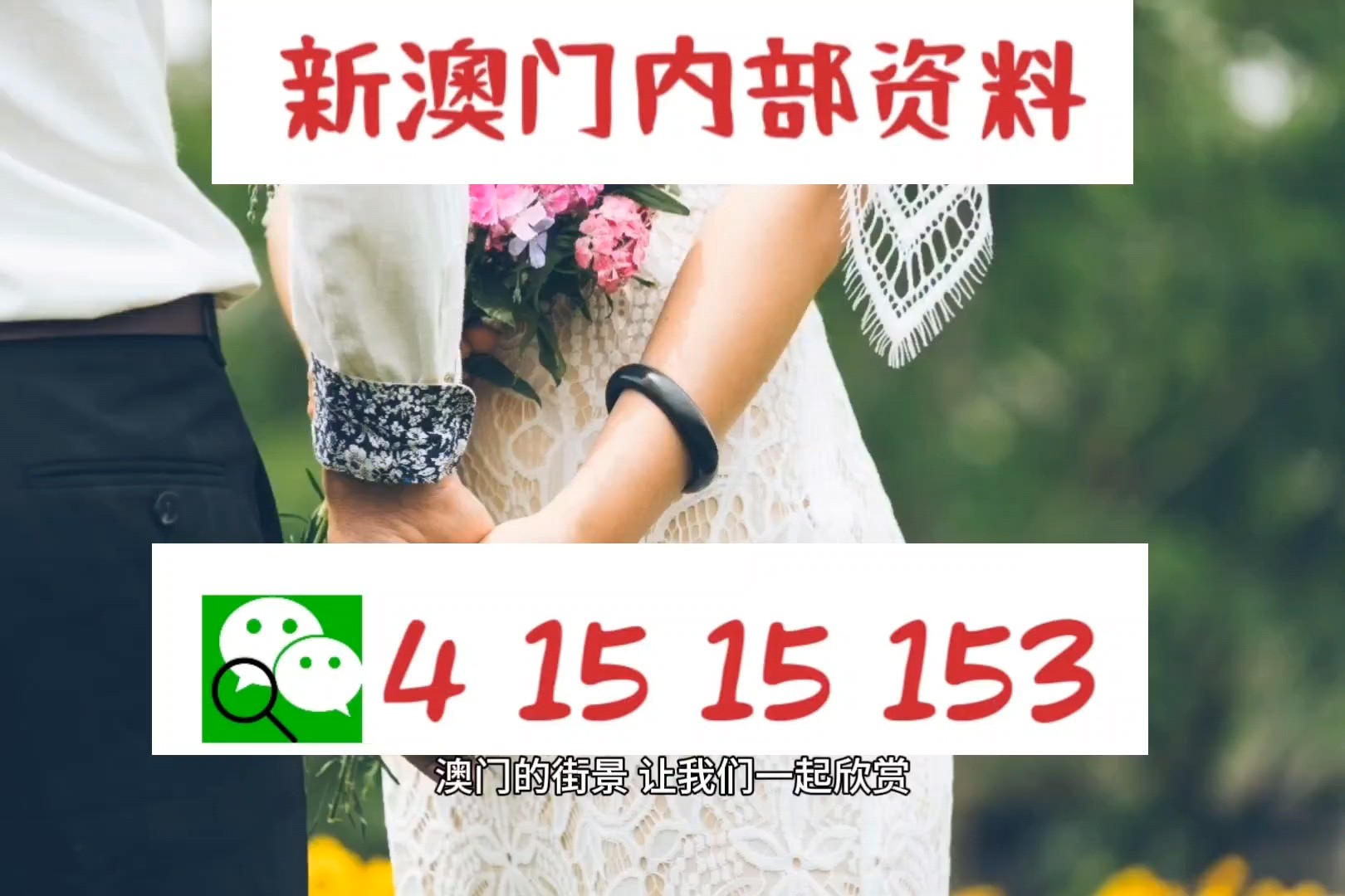 澳門九龍圖庫2025年104期預(yù)測——深度解析與前瞻，澳門九龍圖庫2025年深度解析與前瞻，第104期預(yù)測報(bào)告發(fā)布