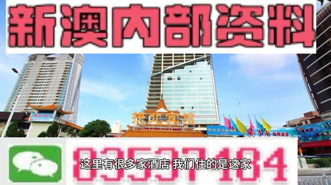 澳門芳草地精準資料站，探索與優(yōu)化的SEO之路，澳門芳草地精準資料站，SEO之路的探索與優(yōu)化