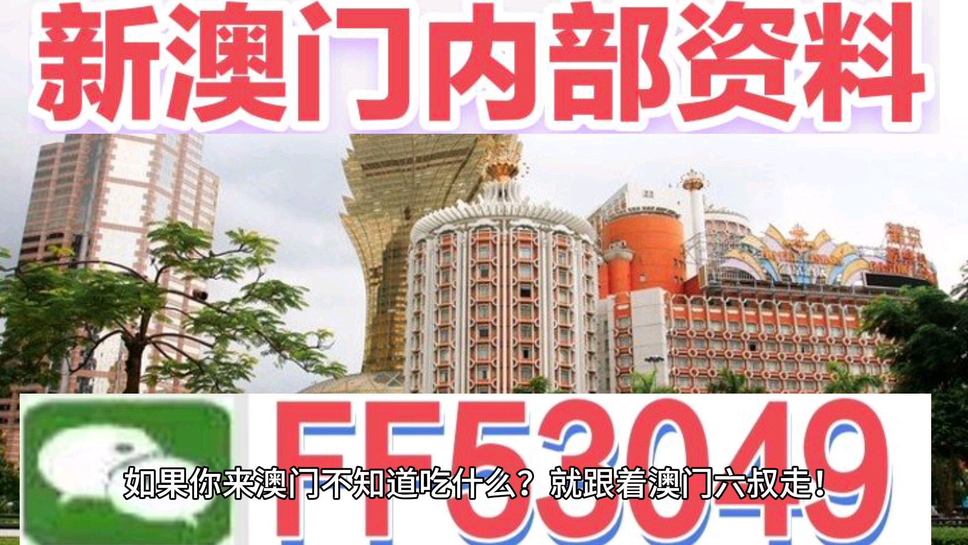 澳門(mén)今晚特馬生肖預(yù)測(cè)，探尋未來(lái)的幸運(yùn)符號(hào)（2025年），澳門(mén)生肖預(yù)測(cè)揭秘，探尋未來(lái)幸運(yùn)符號(hào)（特馬生肖預(yù)測(cè) 2025年展望）