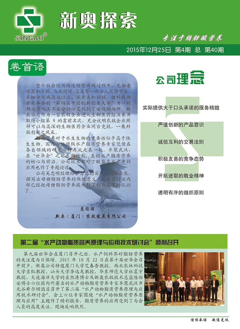2025新澳正版資料查詢(xún)指南，2025新澳正版資料查詢(xún)手冊(cè)
