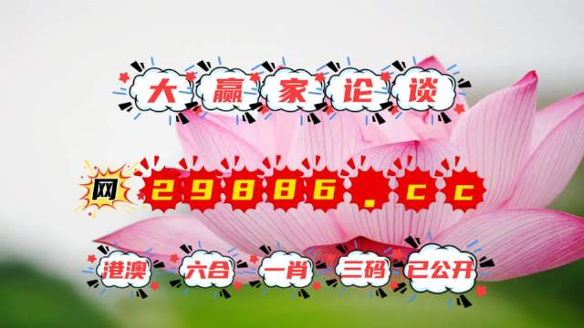 揭秘4887王中王精準資料，全方位解讀，洞悉其獨特魅力，揭秘，全方位解讀王中王精準資料，洞悉其獨特魅力