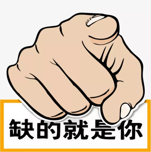 鐵算盤，全網(wǎng)矚目，傾力打造引領(lǐng)潮流的火熱品牌！，鐵算盤引領(lǐng)潮流，全網(wǎng)矚目成火熱品牌！