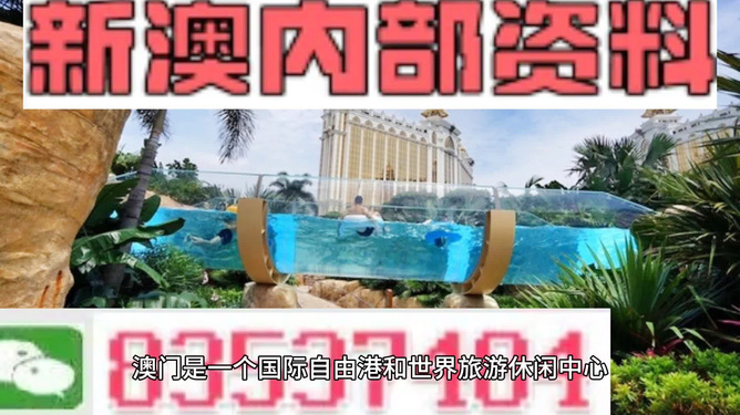 新澳的資料去哪里找——全面指南，新澳資料全攻略，尋找資料的途徑與指南