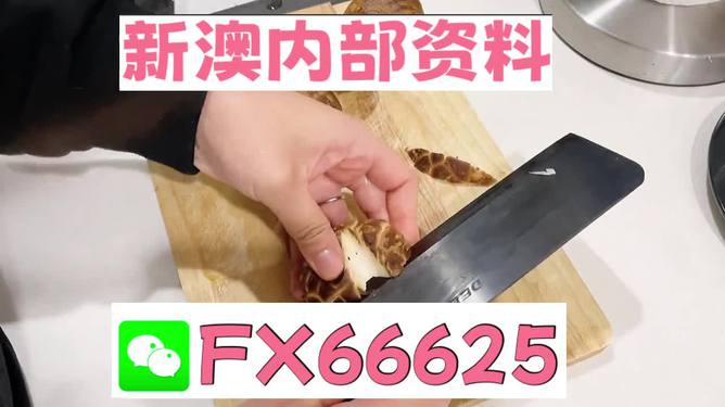 澳門九點半9點半網(wǎng)站——探索其魅力與優(yōu)勢，澳門九點半網(wǎng)站，魅力與優(yōu)勢探索