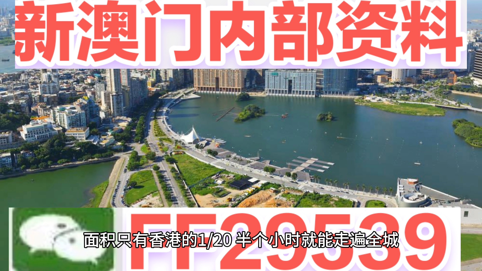 澳門特碼，探索其背后的秘密與魅力，澳門特碼背后的秘密與魅力探索