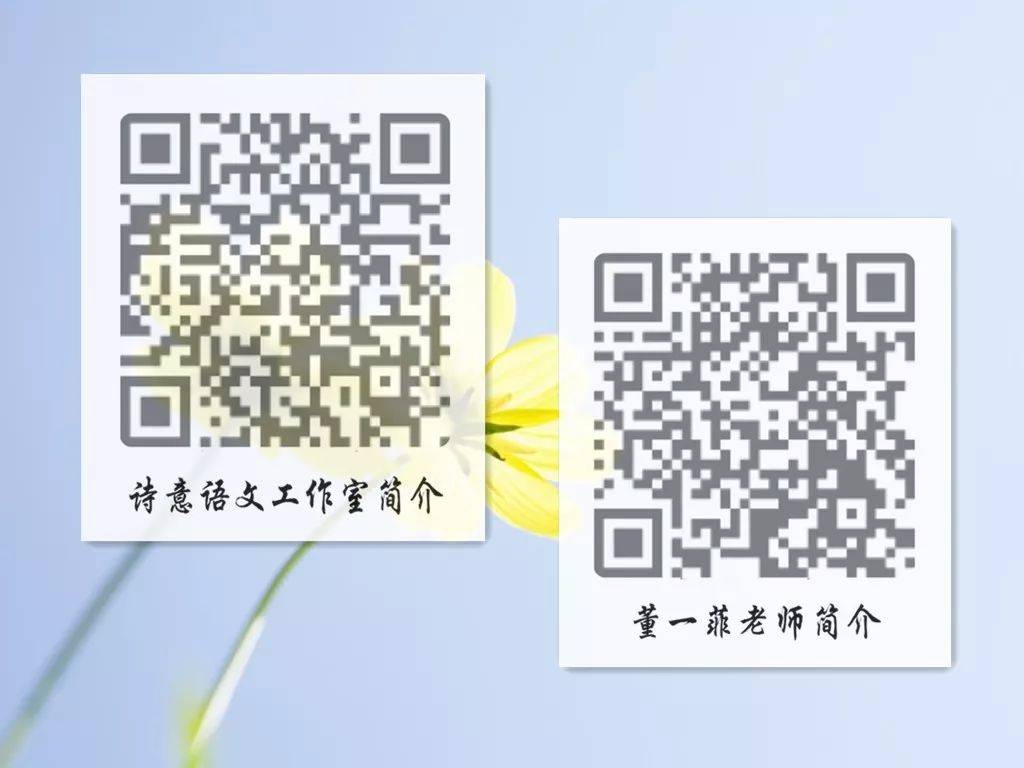 一碼一肖一特一