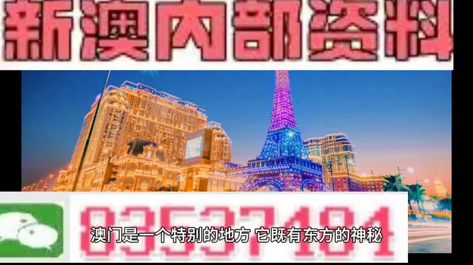 新澳門精準(zhǔn)800圖庫(kù)，探索與解析，新澳門精準(zhǔn)800圖庫(kù)，深入探索與詳細(xì)解析