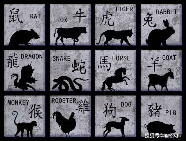 新澳特碼，羊?；⒏鲾?shù)10的獨(dú)特魅力與解析，新澳特碼，羊?；⒏鲾?shù)10的獨(dú)特魅力深度解析