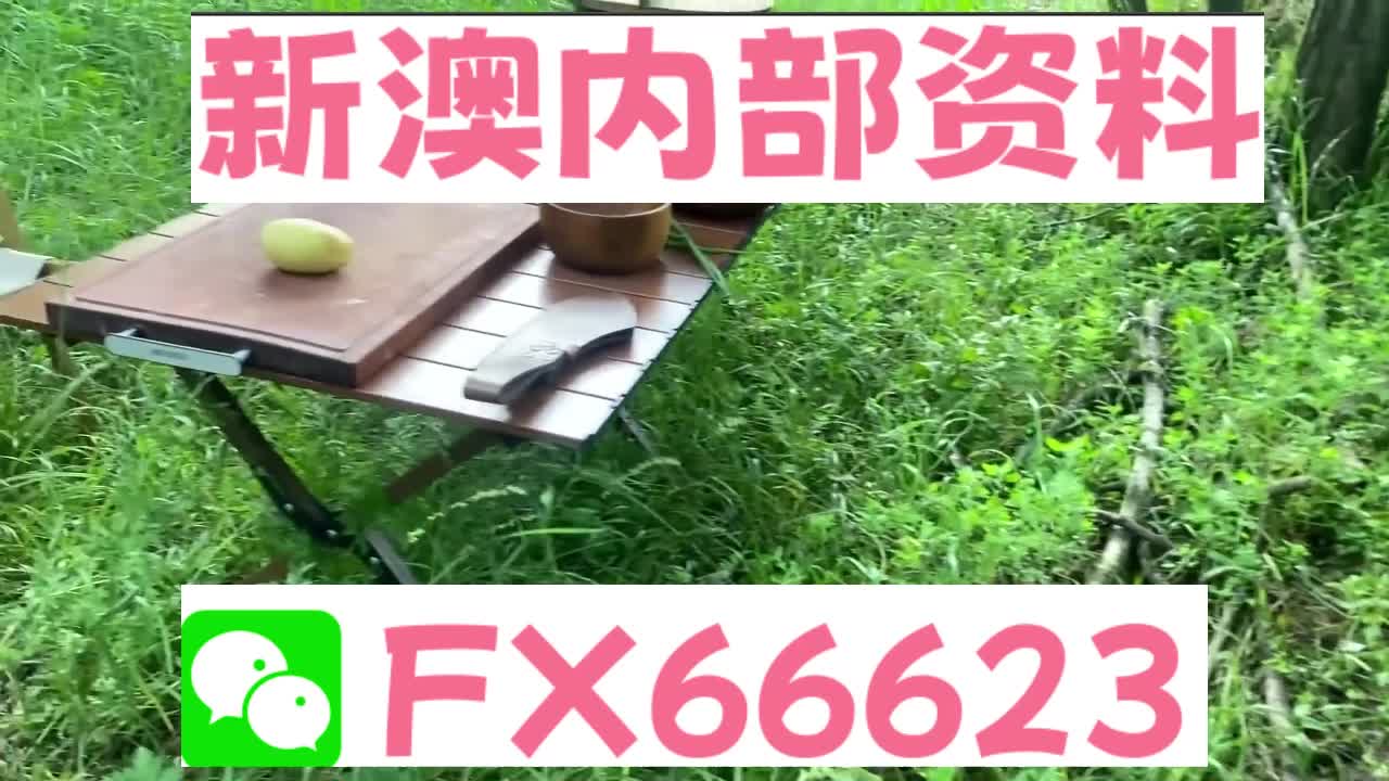 新奧特碼走勢圖解析與預(yù)測，新奧特碼走勢圖解析與預(yù)測，未來趨勢探討