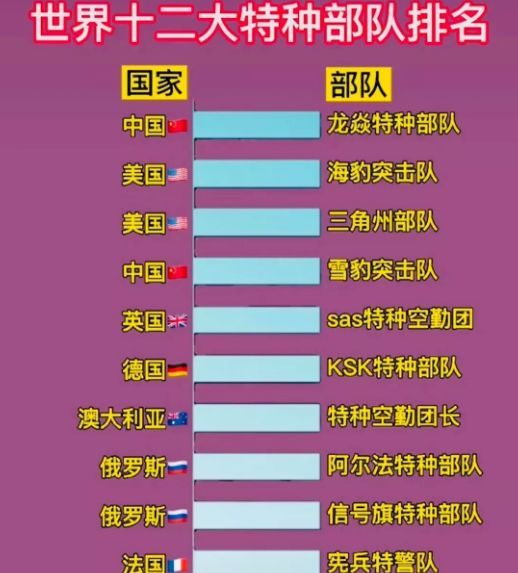 中國十大王牌特種部隊(duì)，實(shí)力與榮耀的象征，中國十大王牌特種部隊(duì)，實(shí)力與榮耀的巔峰標(biāo)志