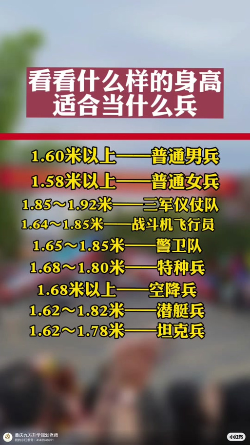 儀仗兵身高標(biāo)準(zhǔn)，探究與解析，儀仗兵身高標(biāo)準(zhǔn)，探究與詳解