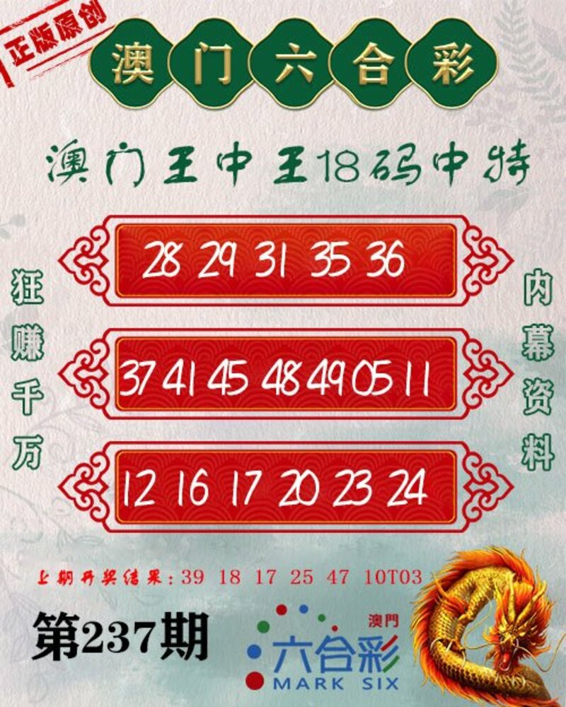 新澳門王中王期期中，探索與解析，新澳門王中王期期中，深度探索與解析
