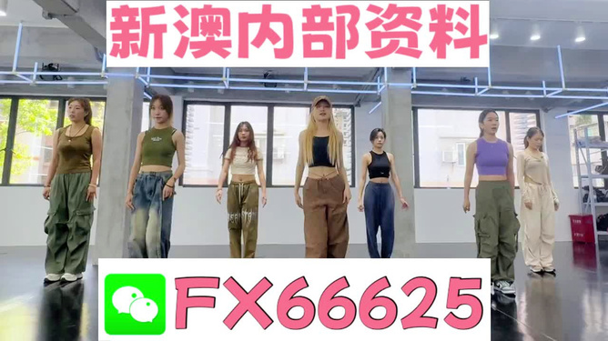 新澳持碼會(huì)資料詳解，新澳持碼會(huì)資料全面解析