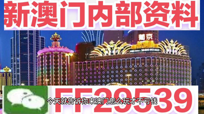 澳門今晚必開一肖一特，揭秘生肖彩票的魅力與策略，澳門生肖彩票揭秘，必開一肖一特的魅力與策略