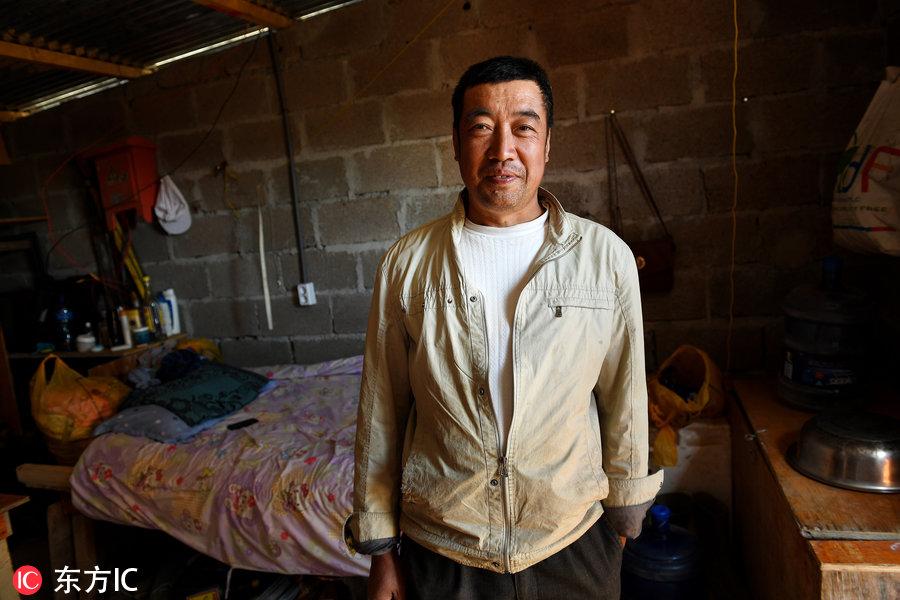 博科圣地組織，深度解析與理解，博科圣地組織深度解析與探究