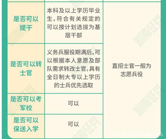 士官直招與義務(wù)兵的區(qū)別，深入了解軍隊招募制度，直招士官與義務(wù)兵招募制度深度解析，軍隊招募制度詳解