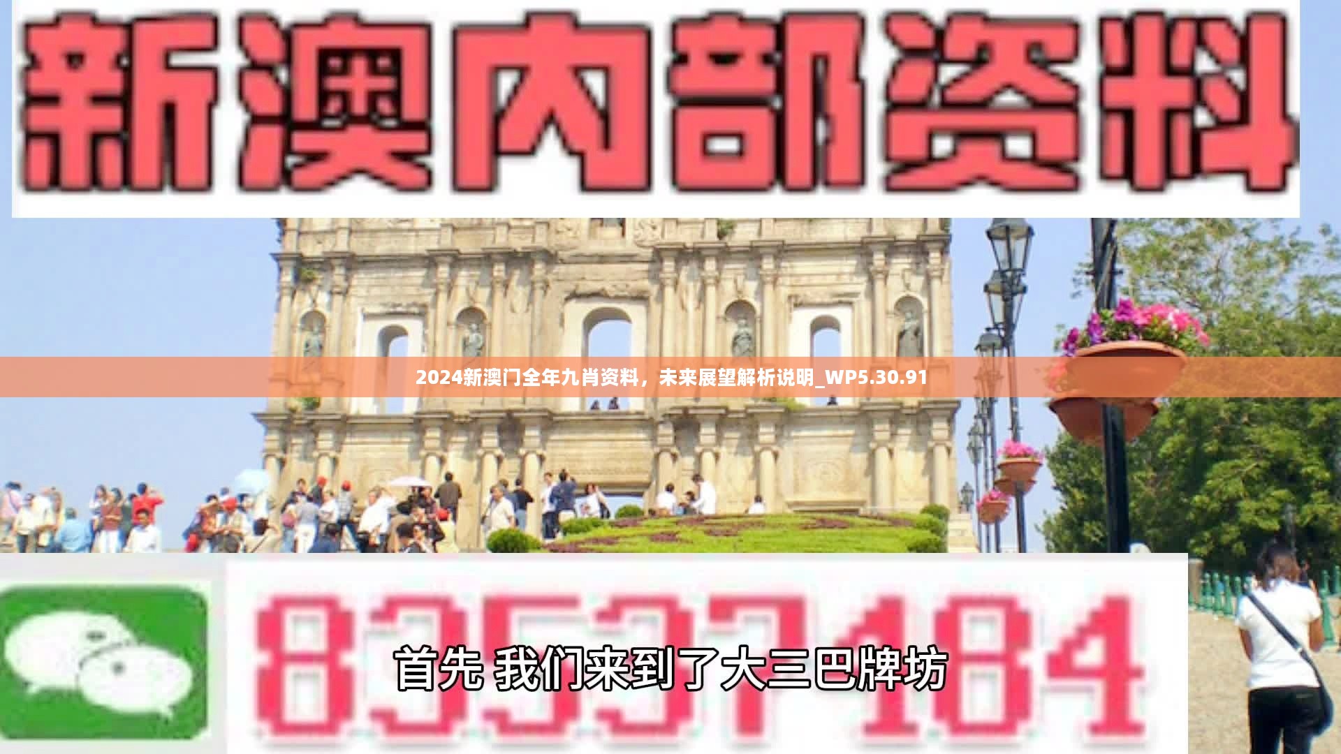新澳門精準九肖，揭秘預測技巧與策略，揭秘新澳門精準九肖預測技巧與策略
