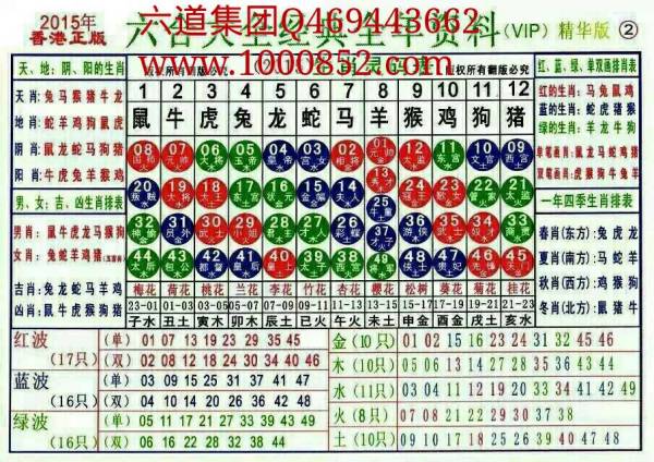 揭秘2024十二生肖49碼表——完整指南，揭秘十二生肖49碼表全攻略，2024年最新版指南