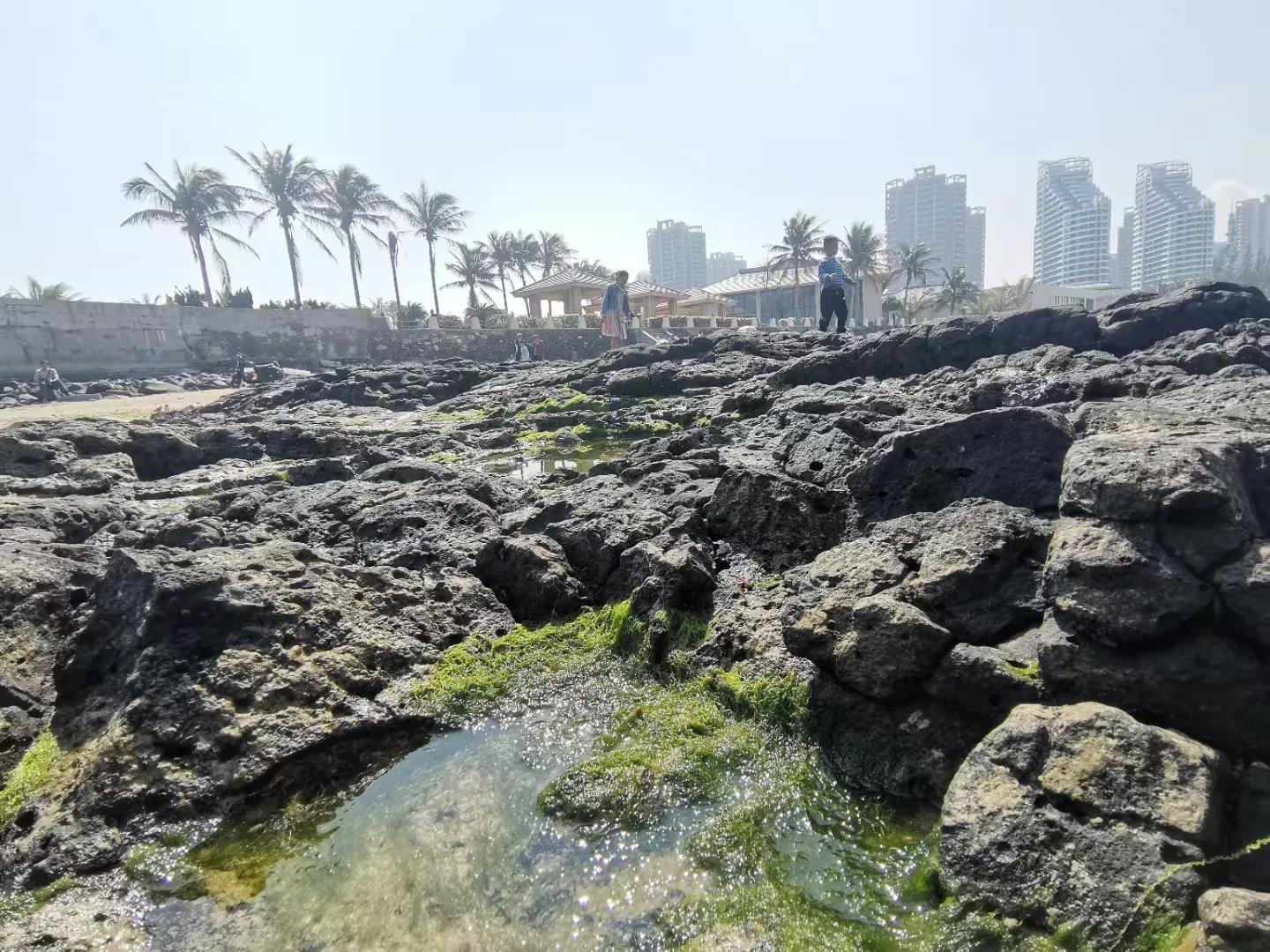 解放海南島電視劇全集下載，探尋30集完整劇情，解放海南島電視劇全集下載，探尋完整的30集劇情探索