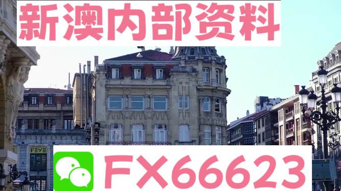 澳門六資料大全，深度探索與揭秘，澳門六資料大全，深度探索與揭秘之旅