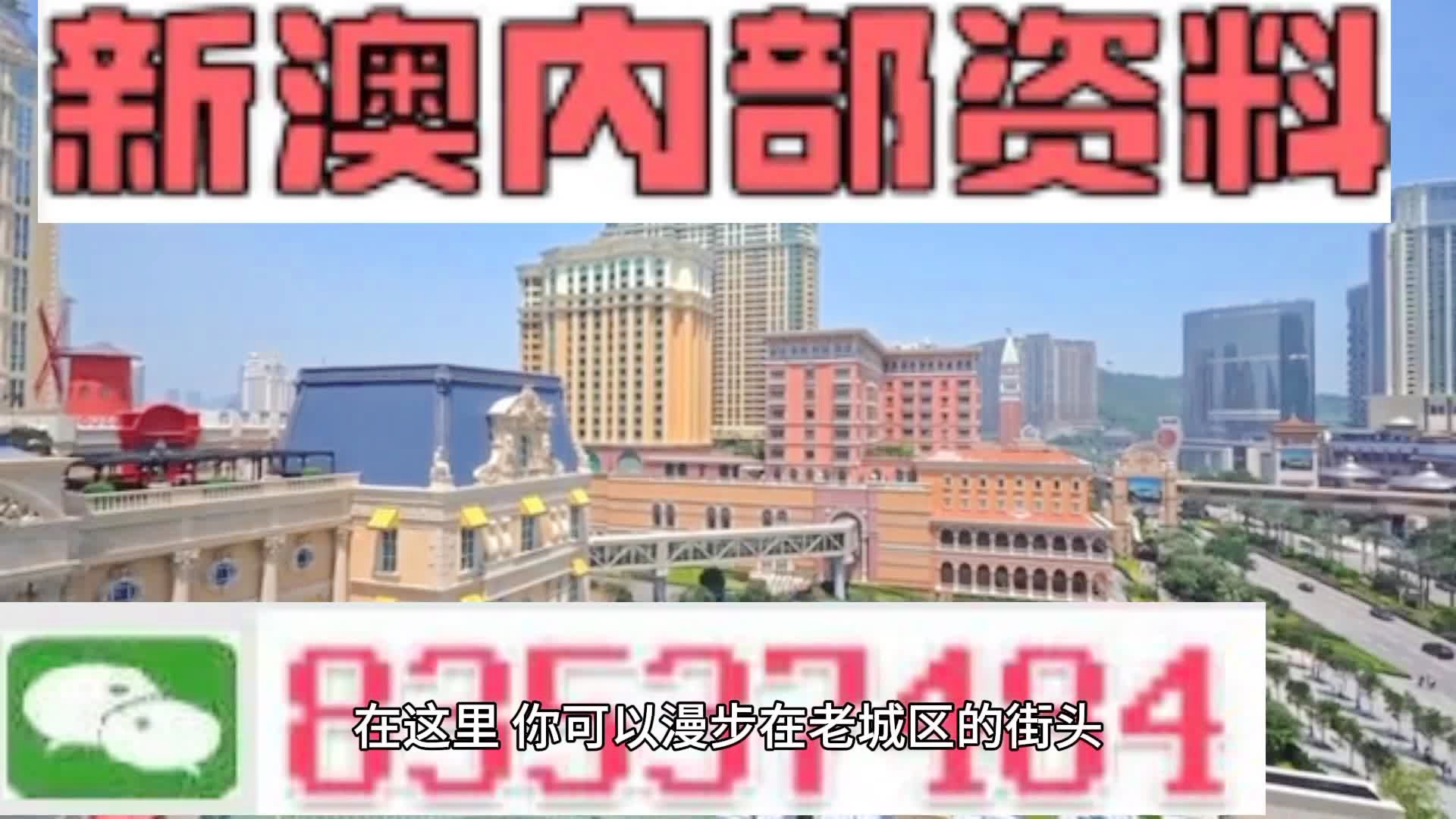 新澳門期期準(zhǔn)精準(zhǔn)，探索澳門的未來與SEO策略，澳門未來展望與SEO策略探索，精準(zhǔn)瞄準(zhǔn)新機(jī)遇