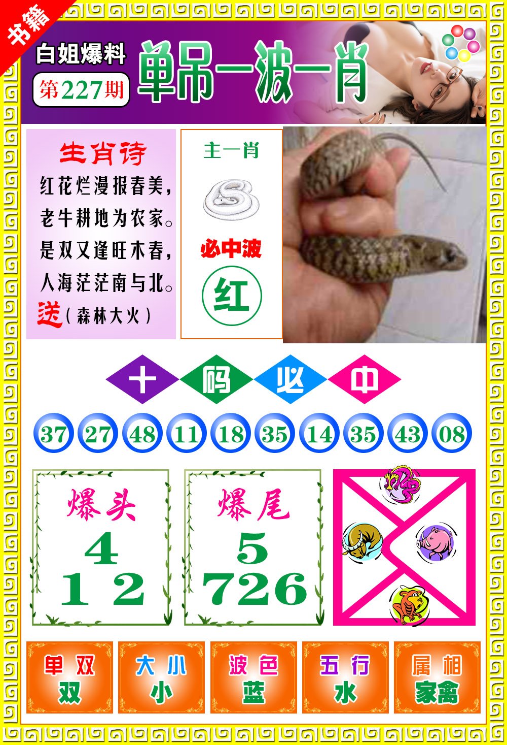王中王100期期一肖，深度解析與SEO優(yōu)化策略，王中王100期期一肖深度解析與SEO策略全解析