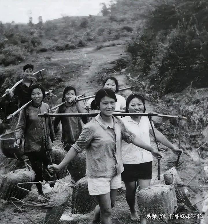 關(guān)于49圖庫圖片資料的專業(yè)解析與探索，49圖庫圖片資料深度解析與探索