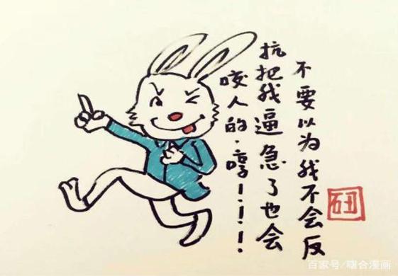 一肖不中賠多少倍，深度解析與策略建議，一肖不中賠倍深度解析及策略建議