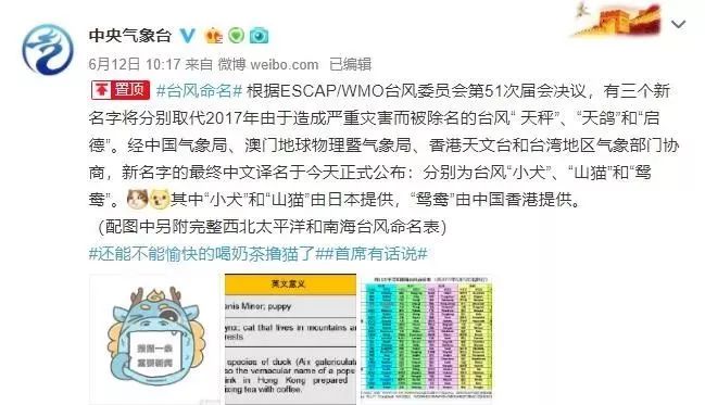 新澳門必中三肖三碼三期必開劉伯，揭秘彩票背后的秘密與策略，揭秘彩票背后的秘密與策略，劉伯的新澳門三期必開三肖三碼預(yù)測技巧