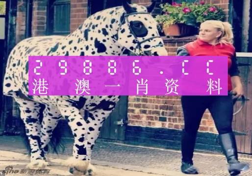 香港網(wǎng)址王中王一肖中特，探索與解析，香港網(wǎng)址王中王一肖中特，深度探索與解析