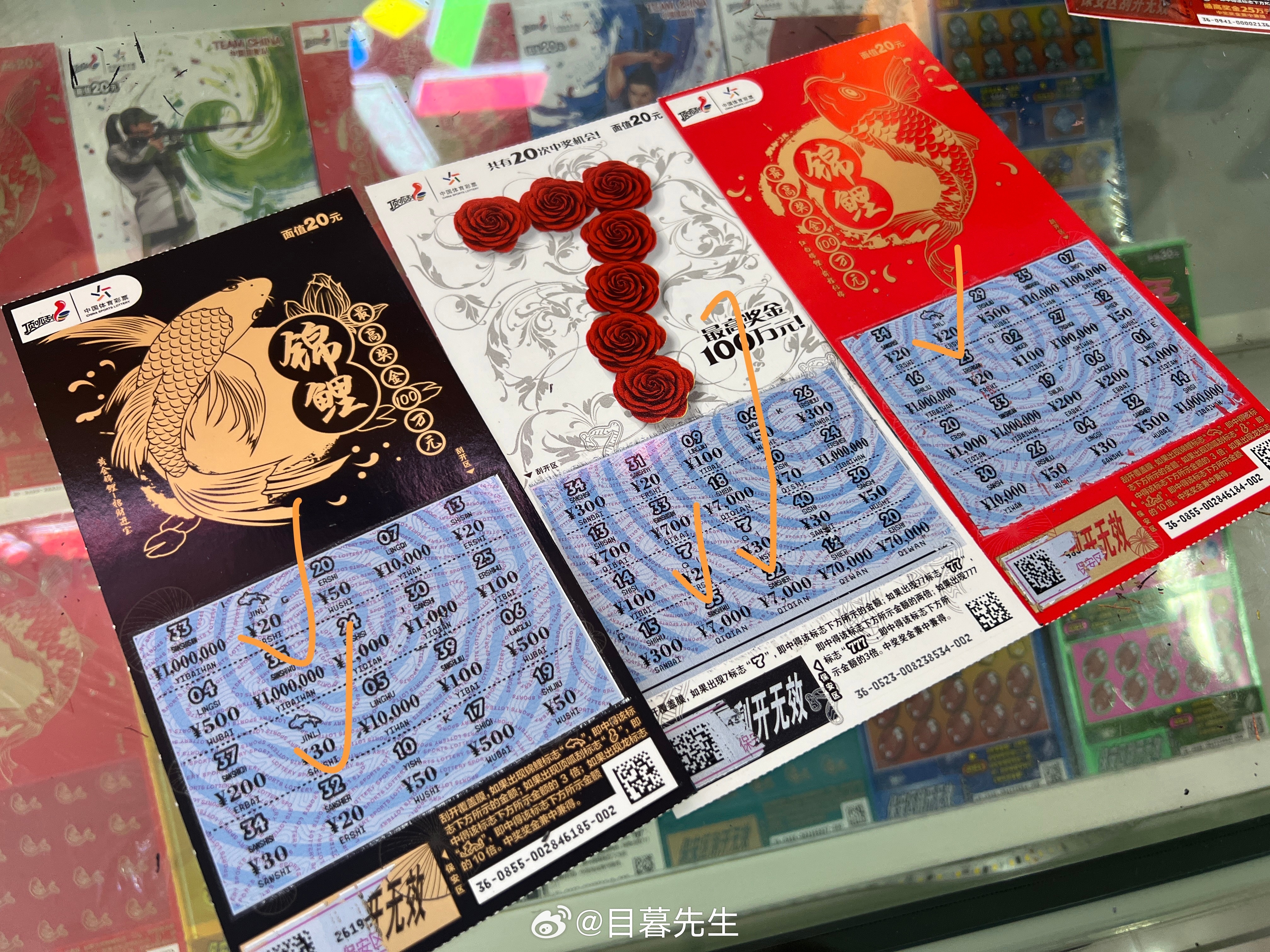 全年王中王一肖中特，深度解析與預(yù)測，全年王中王一肖深度解析與預(yù)測，揭秘特肖趨勢