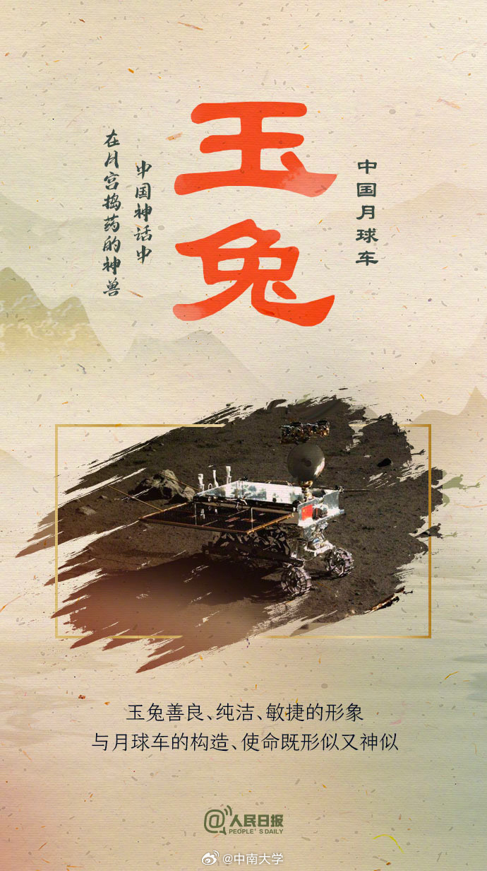 揭秘王中王平特一肖免會公開的奧秘，王中王平特一肖免公開揭秘奧秘