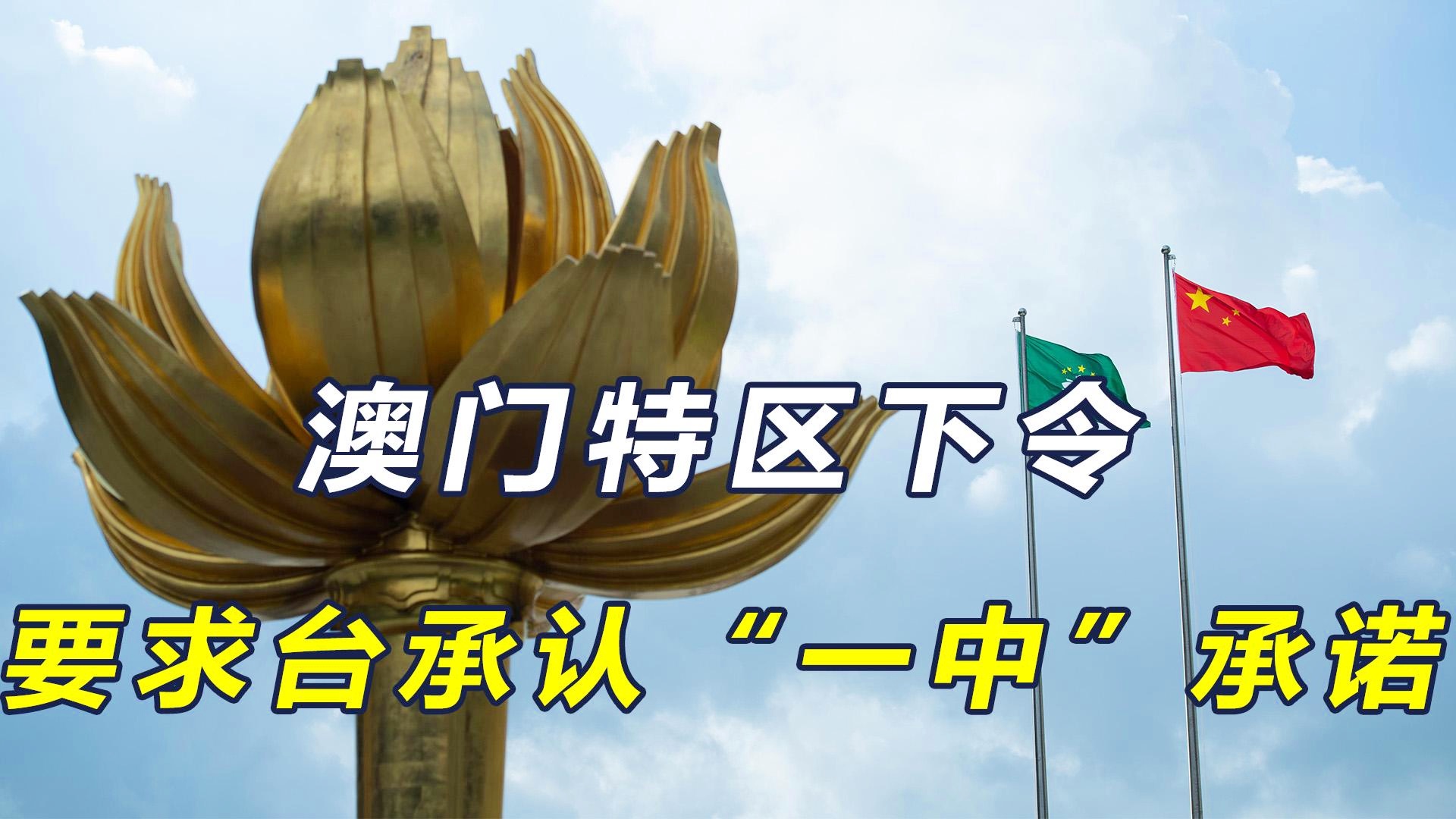 新澳門一碼一肖一特一中準(zhǔn)選今晚之秘與博彩文化深度解析，澳門博彩文化深度解析，今晚一碼一肖一特一中準(zhǔn)選的秘密