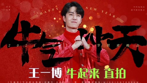 關于中王王中王一肖中特的SEO文章，中王王中王一肖中特的SEO優(yōu)化策略解析