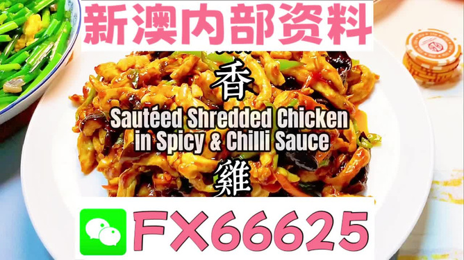 新奧天天精準(zhǔn)資料大全，全方位解讀與應(yīng)用指南，新奧天天精準(zhǔn)資料大全，全方位解讀與應(yīng)用指南手冊(cè)