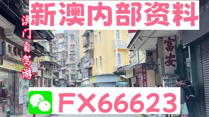 新澳精準(zhǔn)資料免費(fèi)提供，一站式獲取優(yōu)質(zhì)信息資源的指南，新澳精準(zhǔn)資料免費(fèi)獲取，一站式優(yōu)質(zhì)信息資源指南