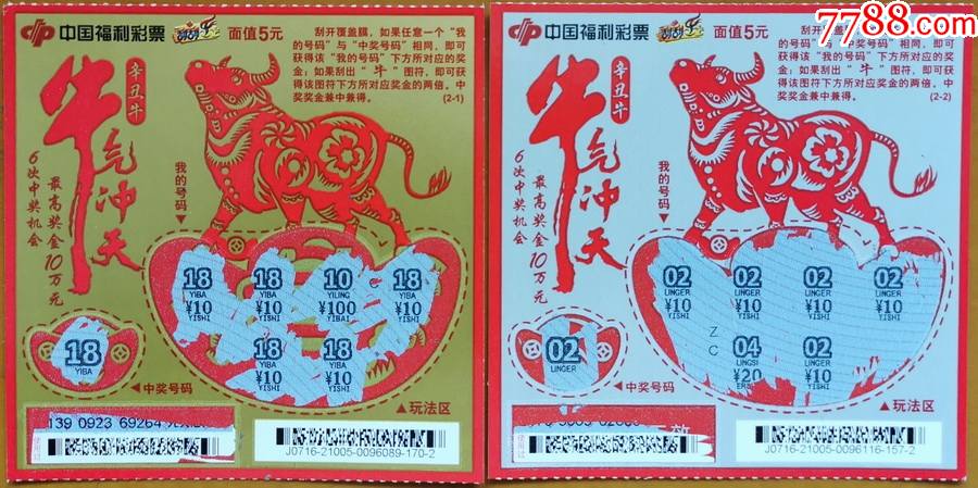 王中王19期指一生肖——探尋背后的奧秘與意義，王中王19期指一生肖，背后的奧秘與意義探尋